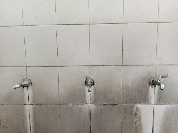 Best Flood restoration services  in North Utica, IL